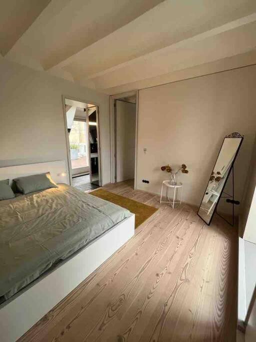 Luxury City Penthouse Apartment Vienna
