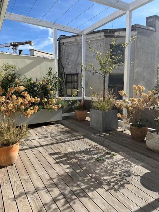 Luxury City Penthouse Apartment Vienna